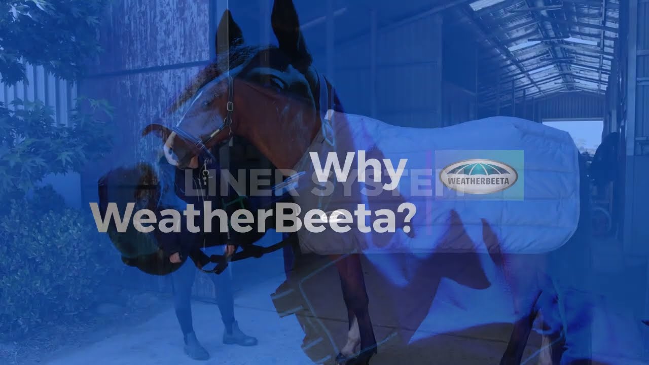 01 V 152330239 01 Weatherbeeta liner 100g