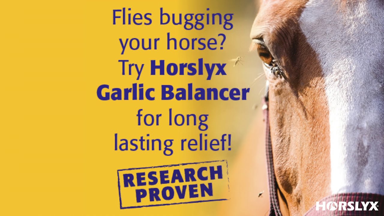 Horslyx Garlic Gul 132300673 01