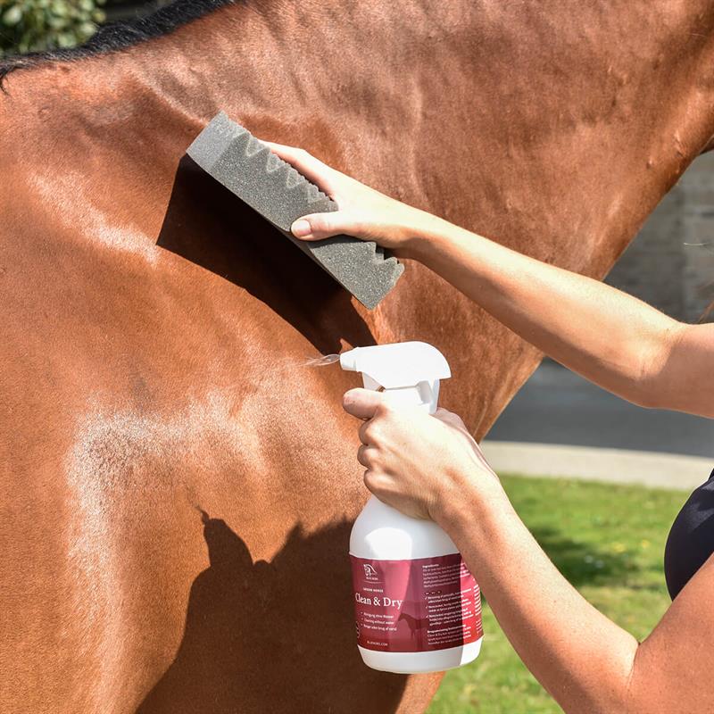 K10459006 01 blue hors Clean Dry 40 317