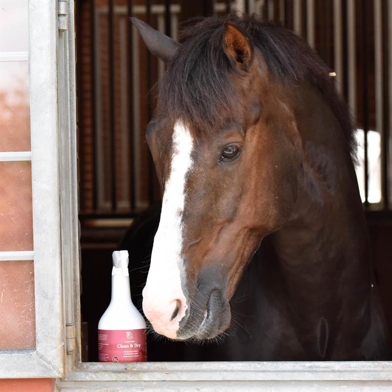 K10459006 01 blue hors Clean Dry 40 317