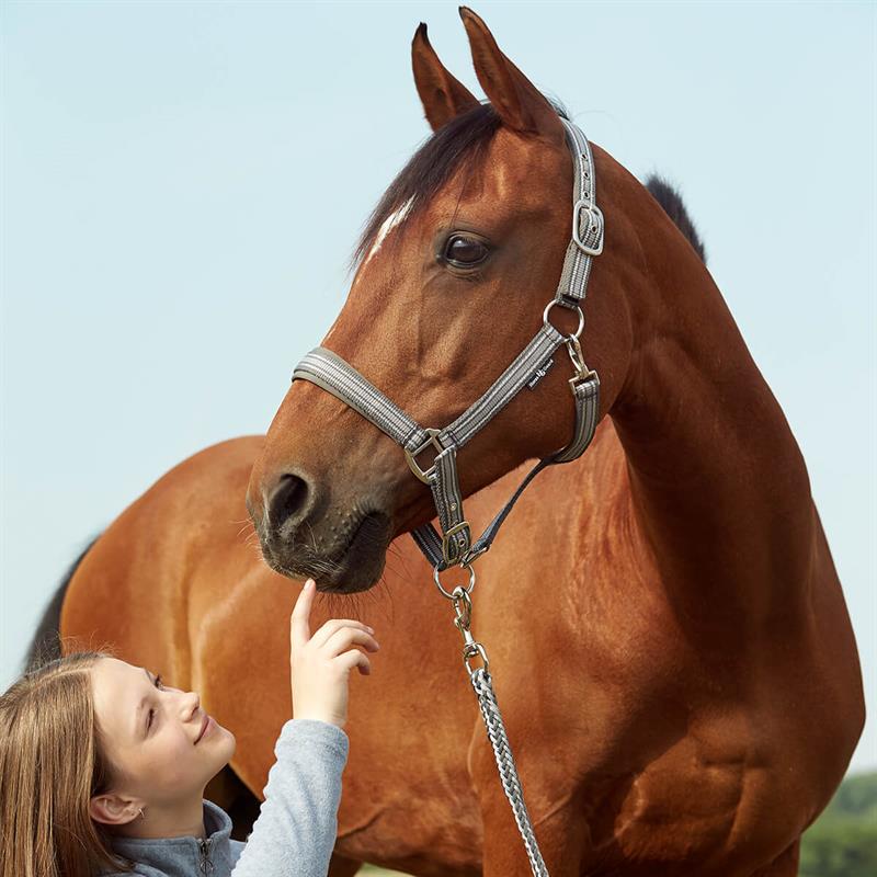 Horse Guard Hip Grime Glitter | Grå