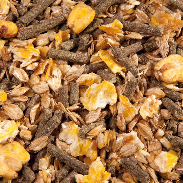 01 1223132 01 eggersmann cool müsli wellness 20kg
