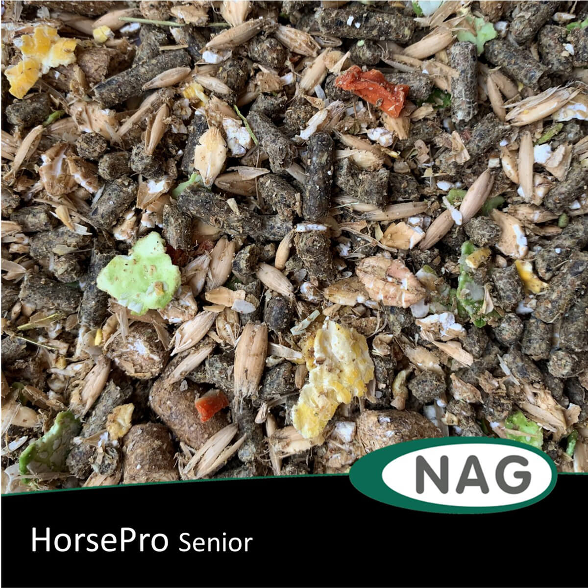 horsepro Senior 1223265 01