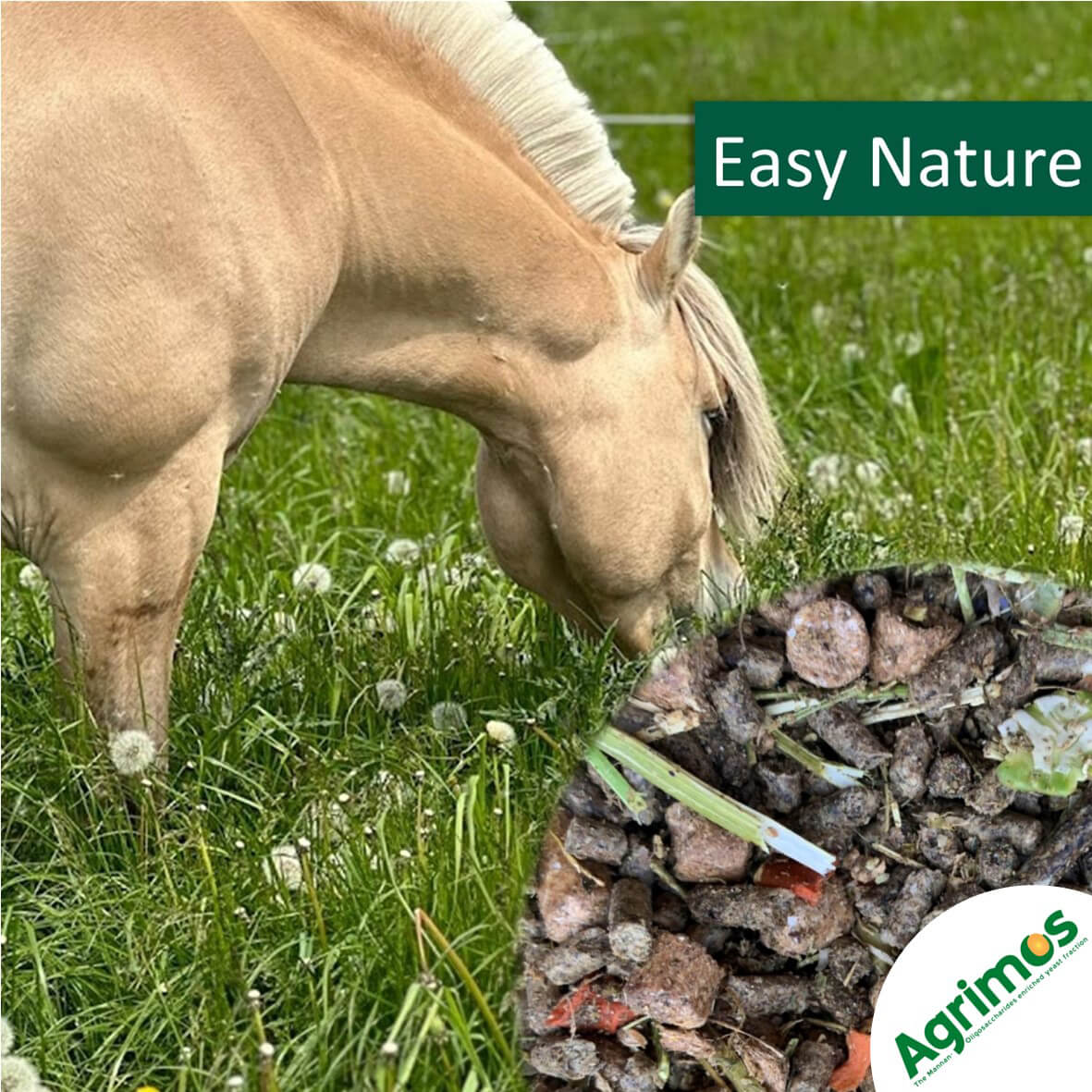 horsepro Easy Nature 1223267 01
