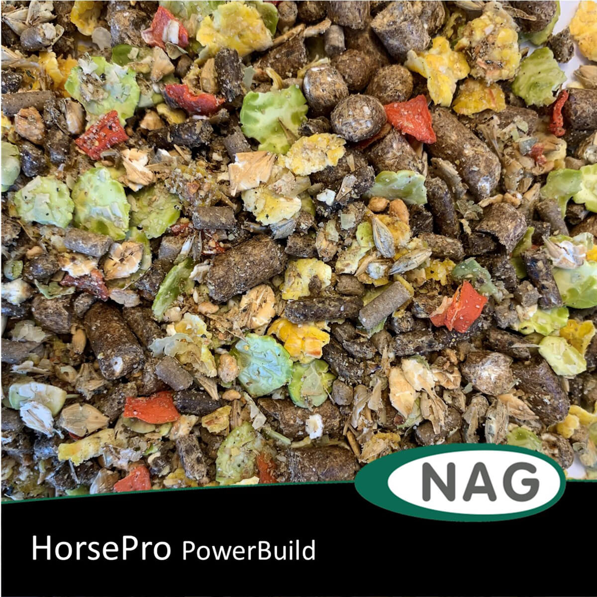 horsepro PowerBuild 1223269 01