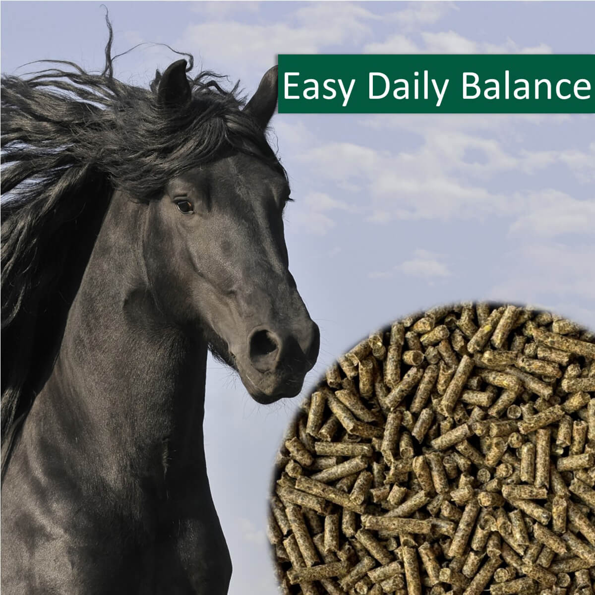horsepro Easy Daily Balancer 01