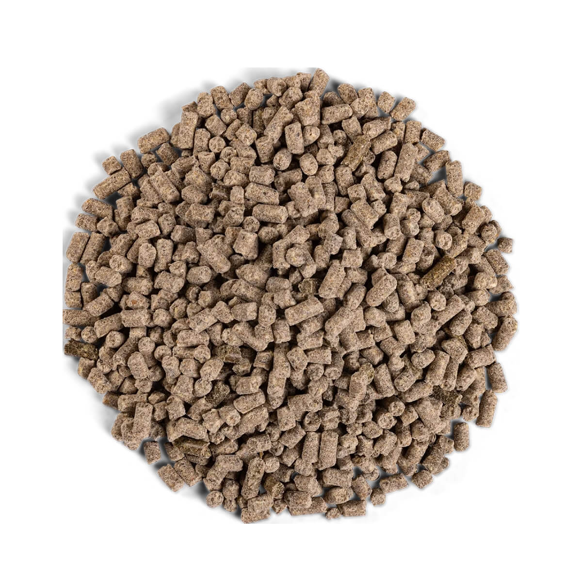 equilannoo Muscle Plus 1223334 01