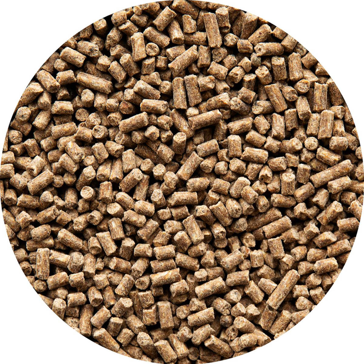 aveve muscle boost hestefoder 1223338 01