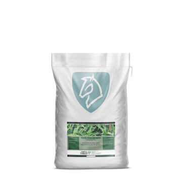 Nordic Brændenælde | 1kg