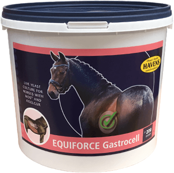 EquiForce Gastrocell 1kg