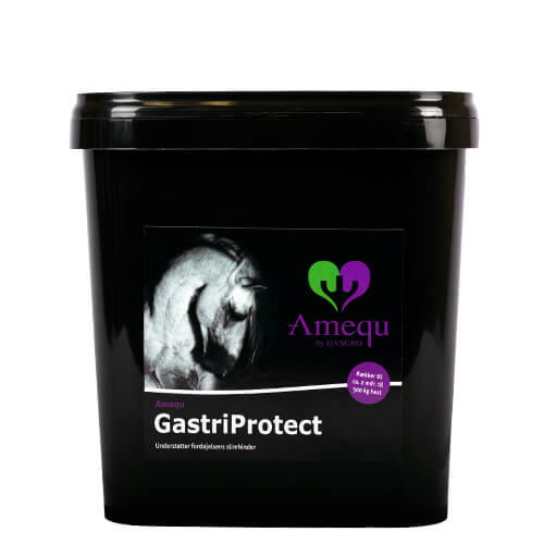01 132300787 01 amequ gastriprotect 3kg