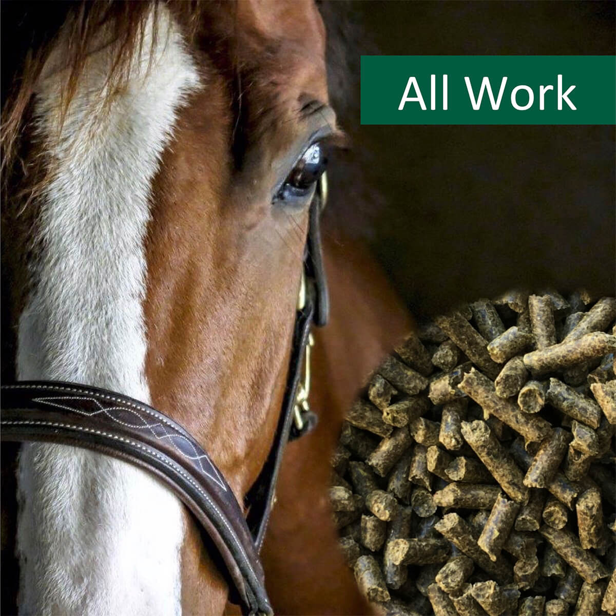 horsepro all work 132301586 01