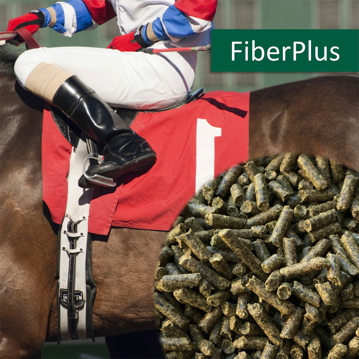horsepro Fiberplus 132301587 01