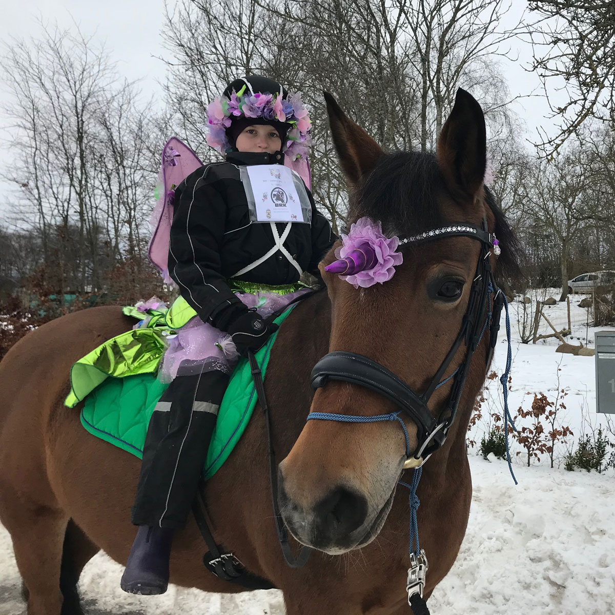 blomster fe og enhjørning kostume hest og rytter 01