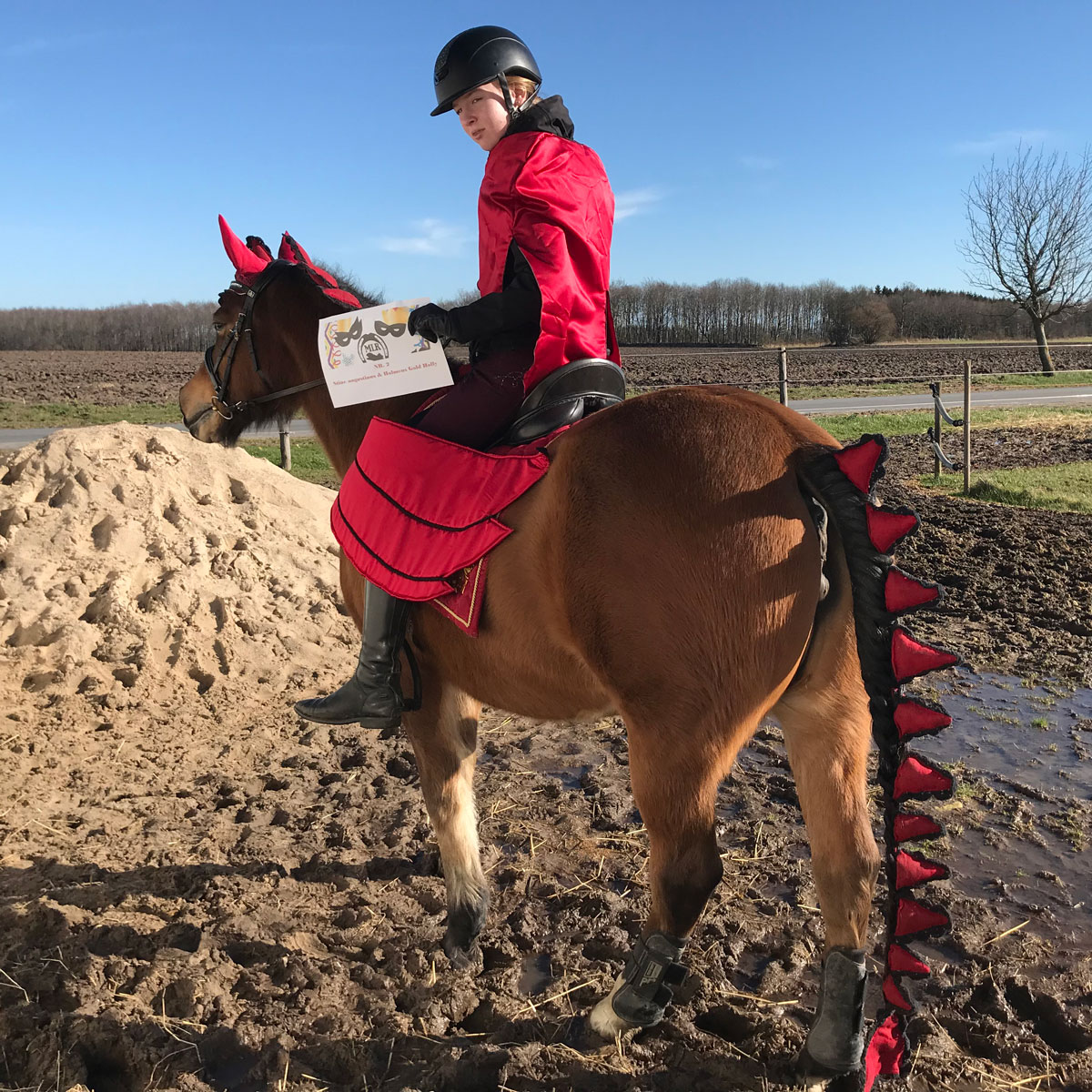 Drage kostume hest og rytter 01