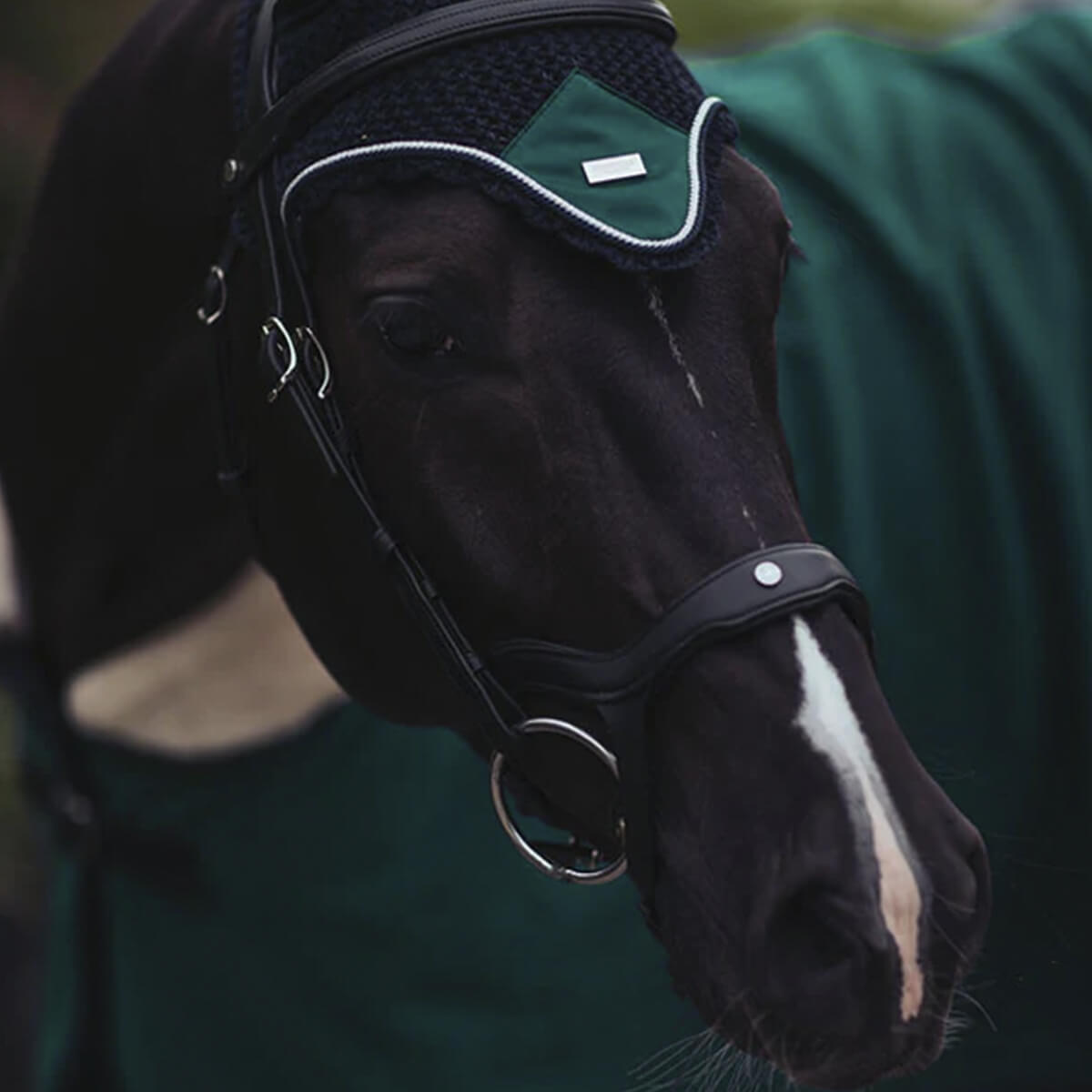 EquestrianStockholm Hut Emerald Full 152340625 01