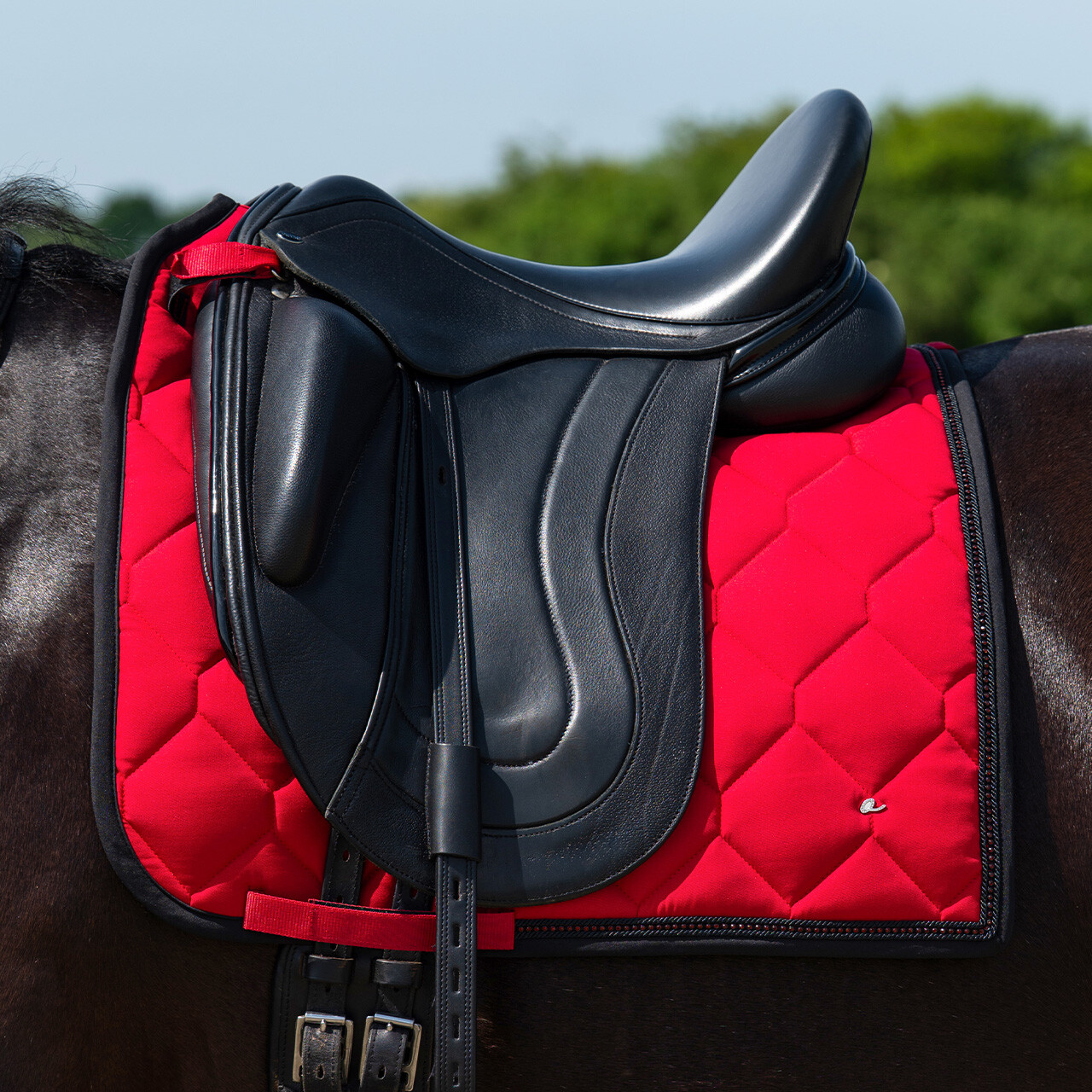 QHP Oakleigh dressur sadelunderlag Sunset Red 01