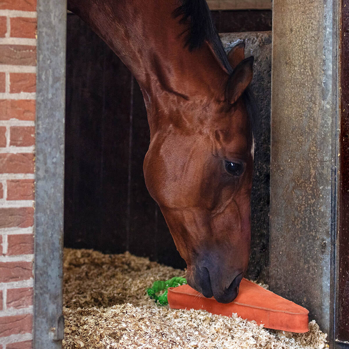 staldlegetoej hest stor gulerod 01