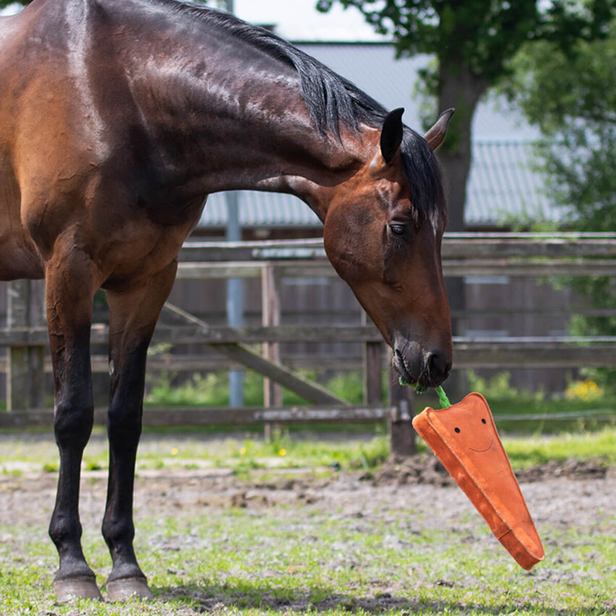 staldlegetoej hest stor gulerod 01