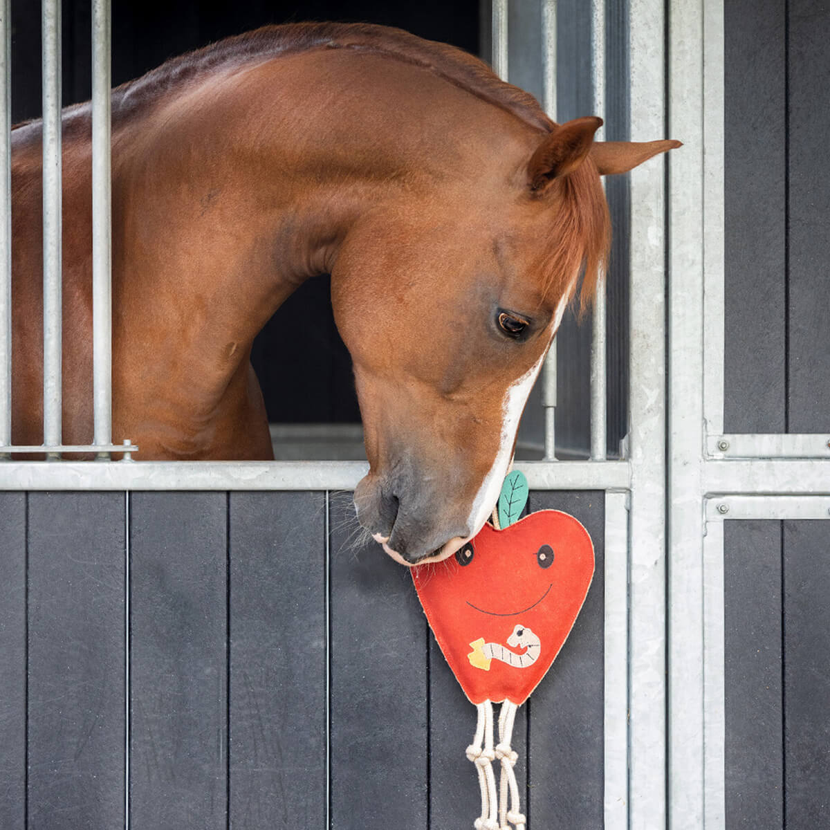 staldlegetoej hest aeble 01