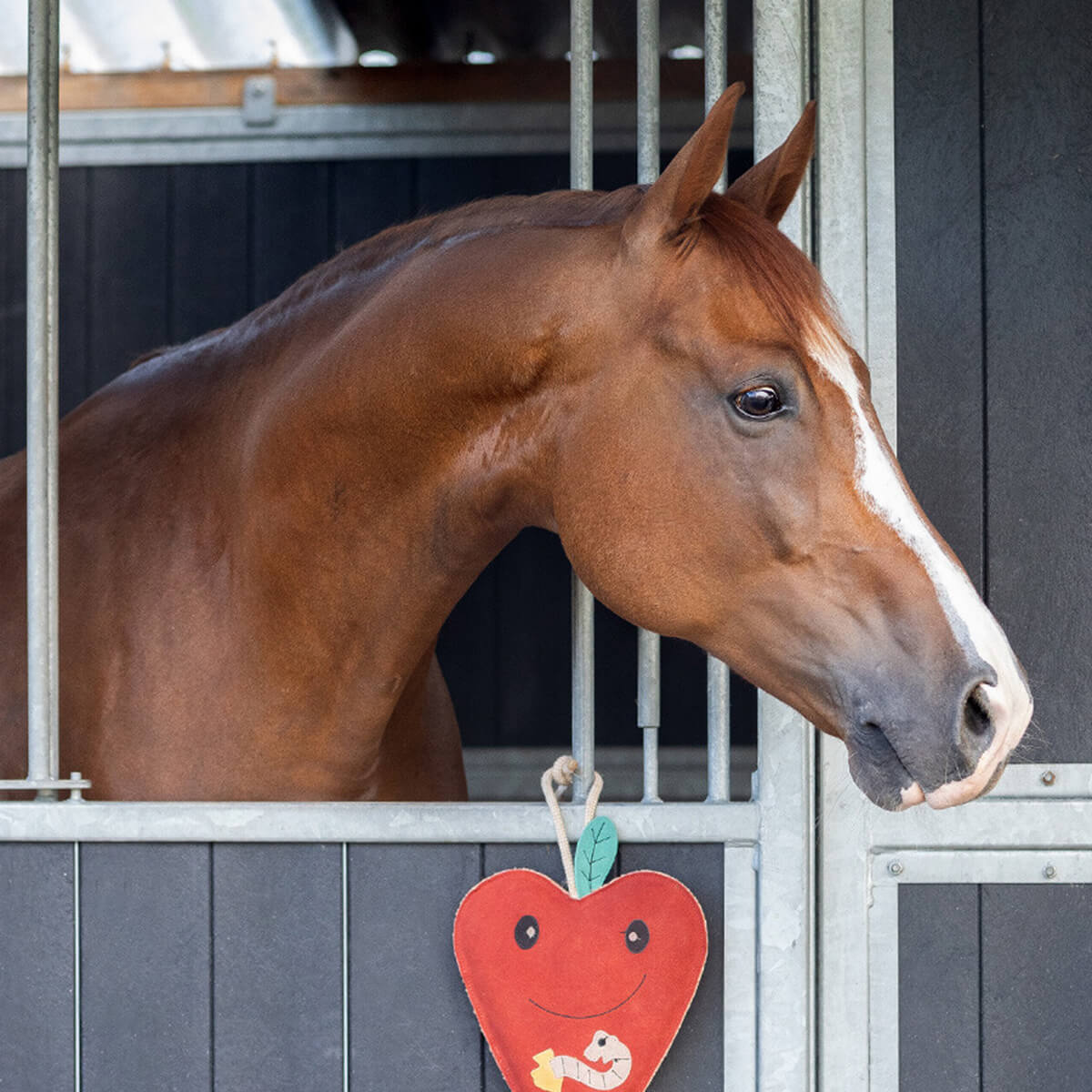 staldlegetoej hest aeble 01