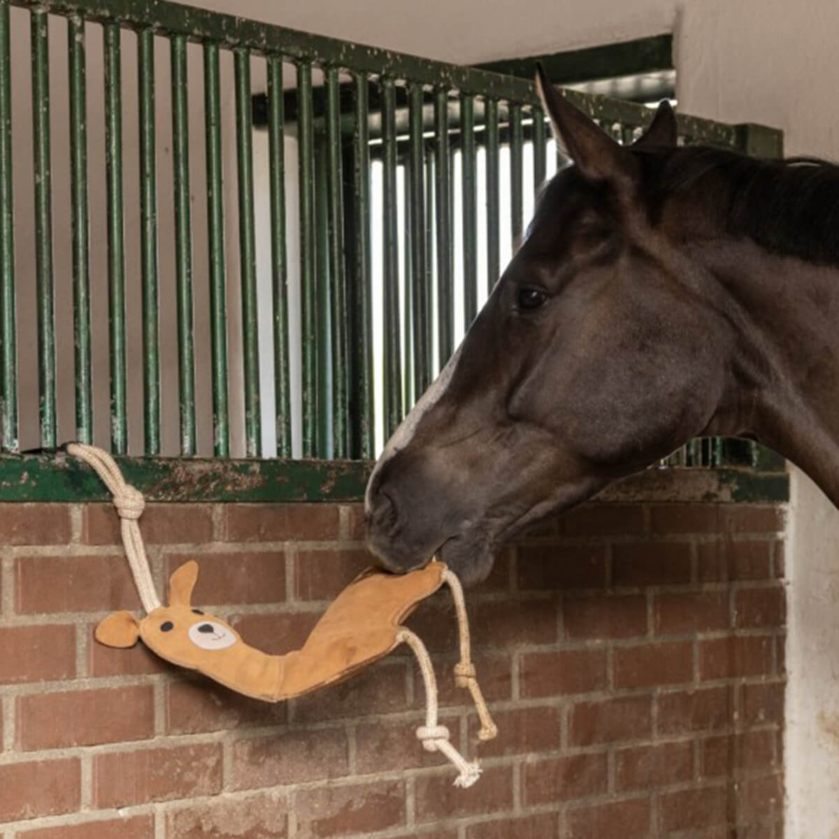 staldlegetoej hest lama 01