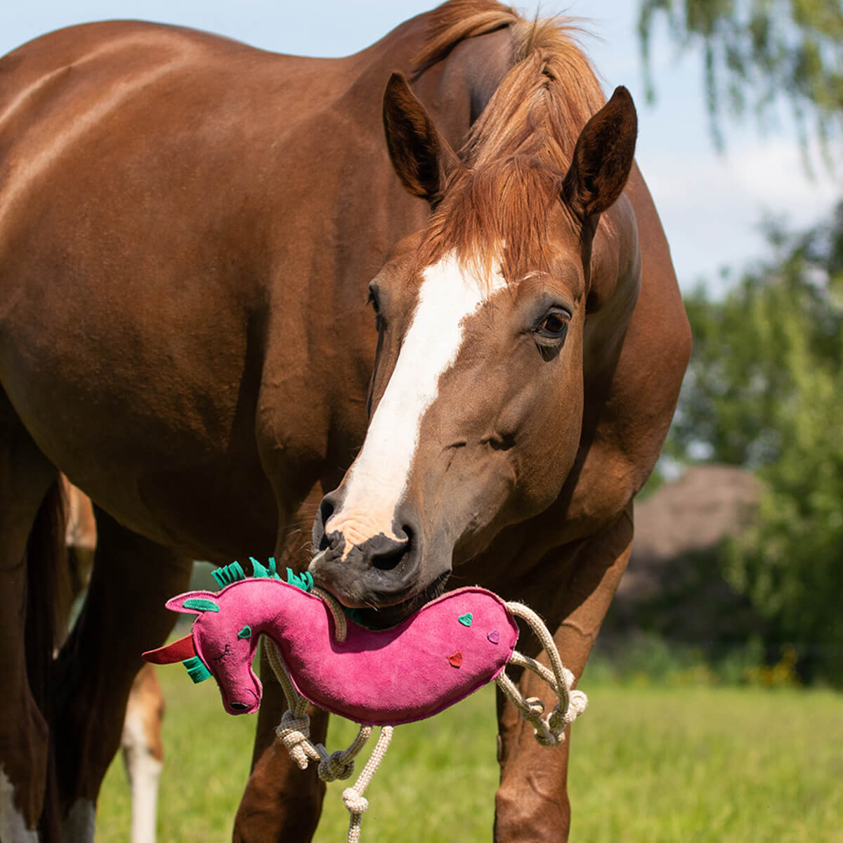 staldlegetoej hest unicorn 01