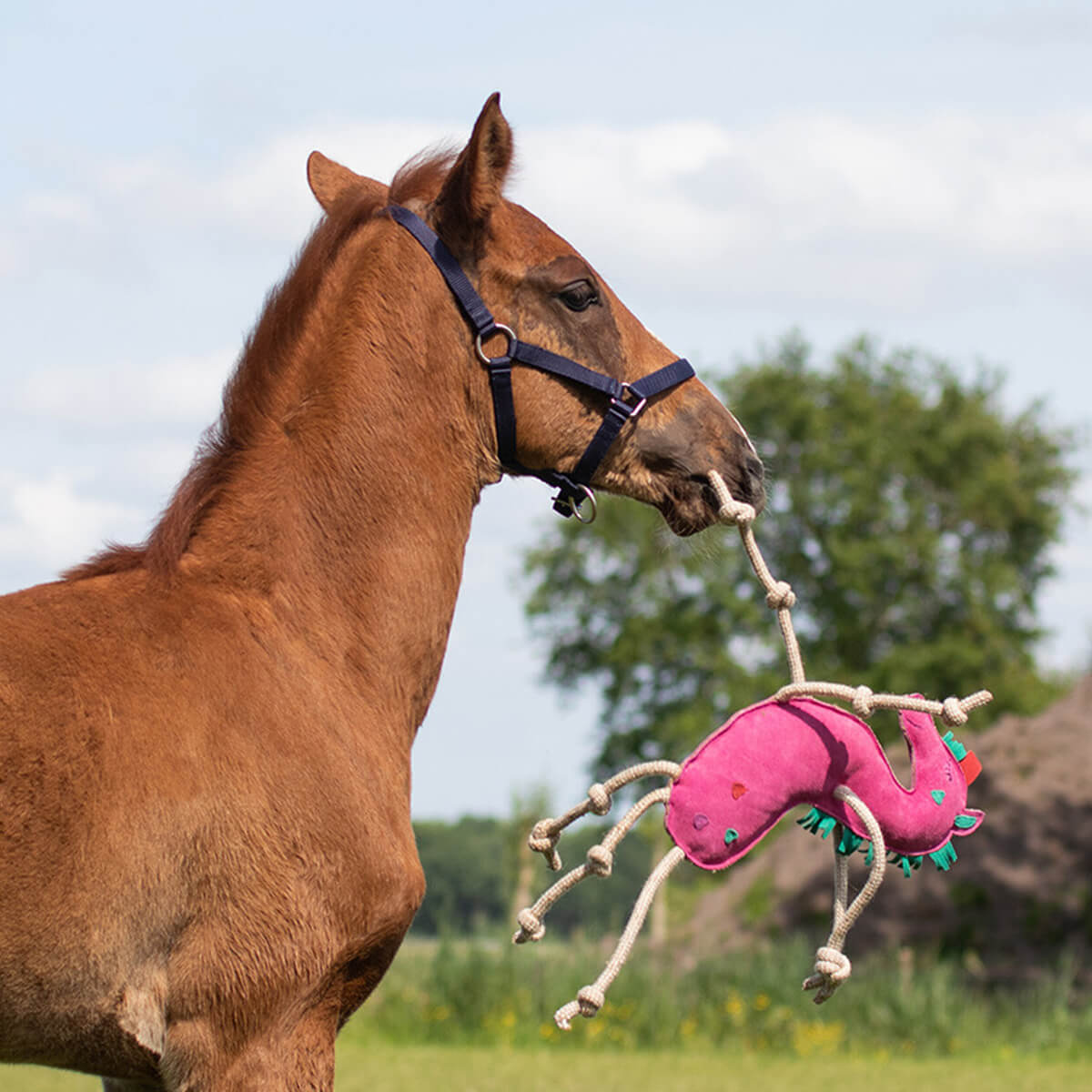 staldlegetoej hest unicorn 01