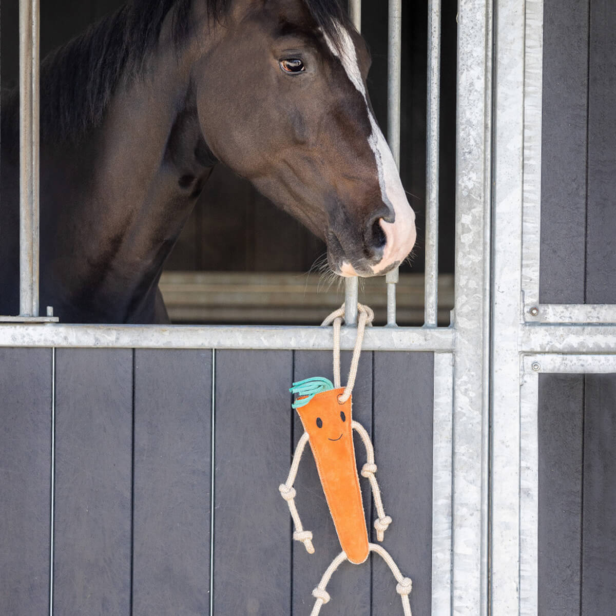 staldlegetoej hest gulerod 01