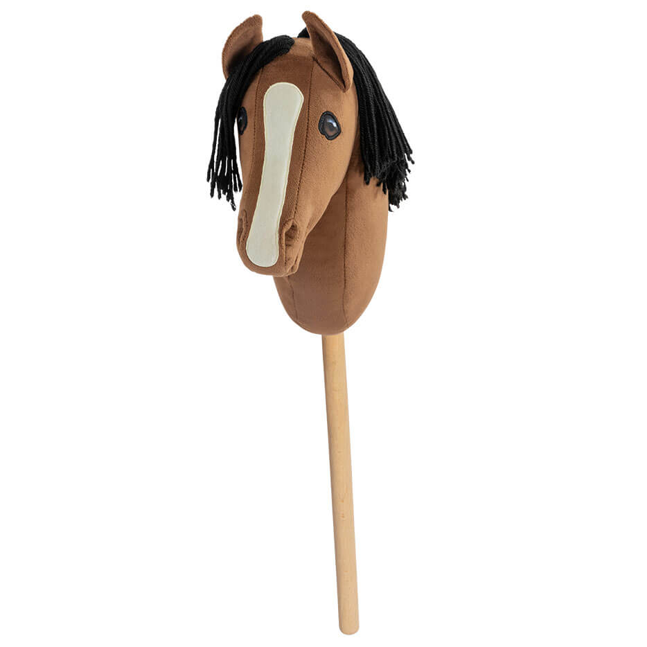 01 26100030 01 Cheval Roi Charlie Kaephest