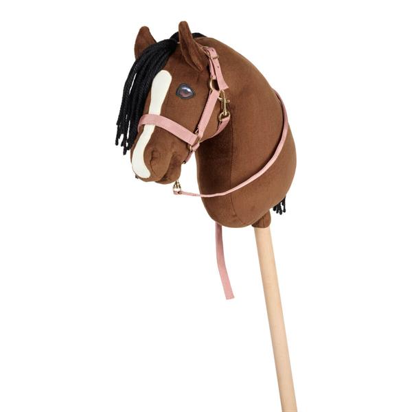 01 26100030 01 Cheval Roi Charlie Kaephest