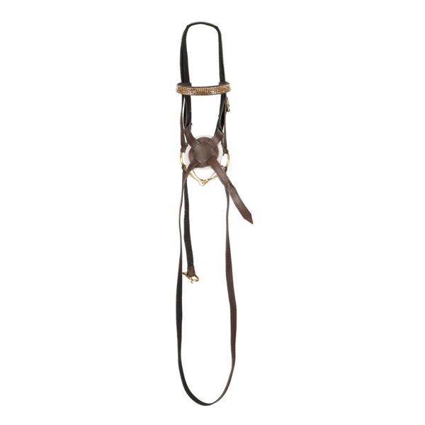 01 26100034 01 Cheval Roi Mexikansk Trense Brun med guld bid champagne sten