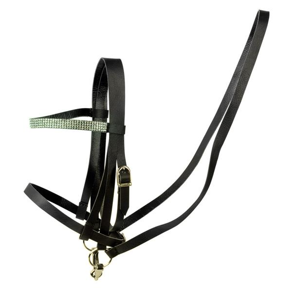 01 26100056 01 Cheval Roi Trense Mint Similisten