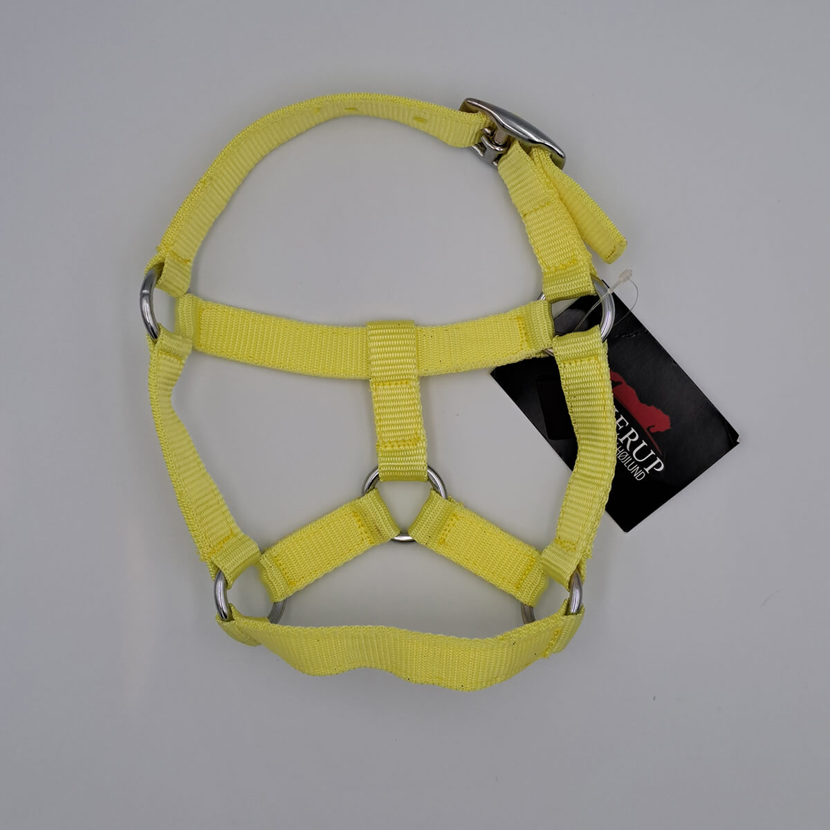 Kinnerup kæpheste grime yellow 26100528 01