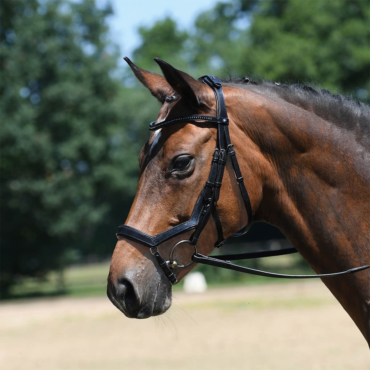 Busse feeling trense sort 01