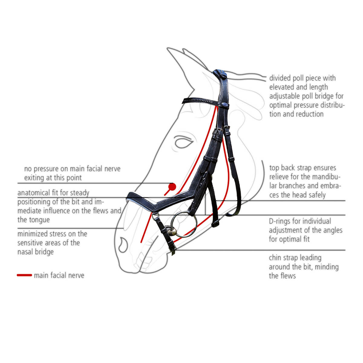Busse feeling trense sort 01