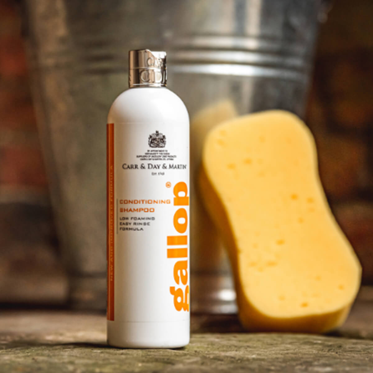 Carr&Day&Martin Gallop Conditioning Shampoo Orange V K827782 01