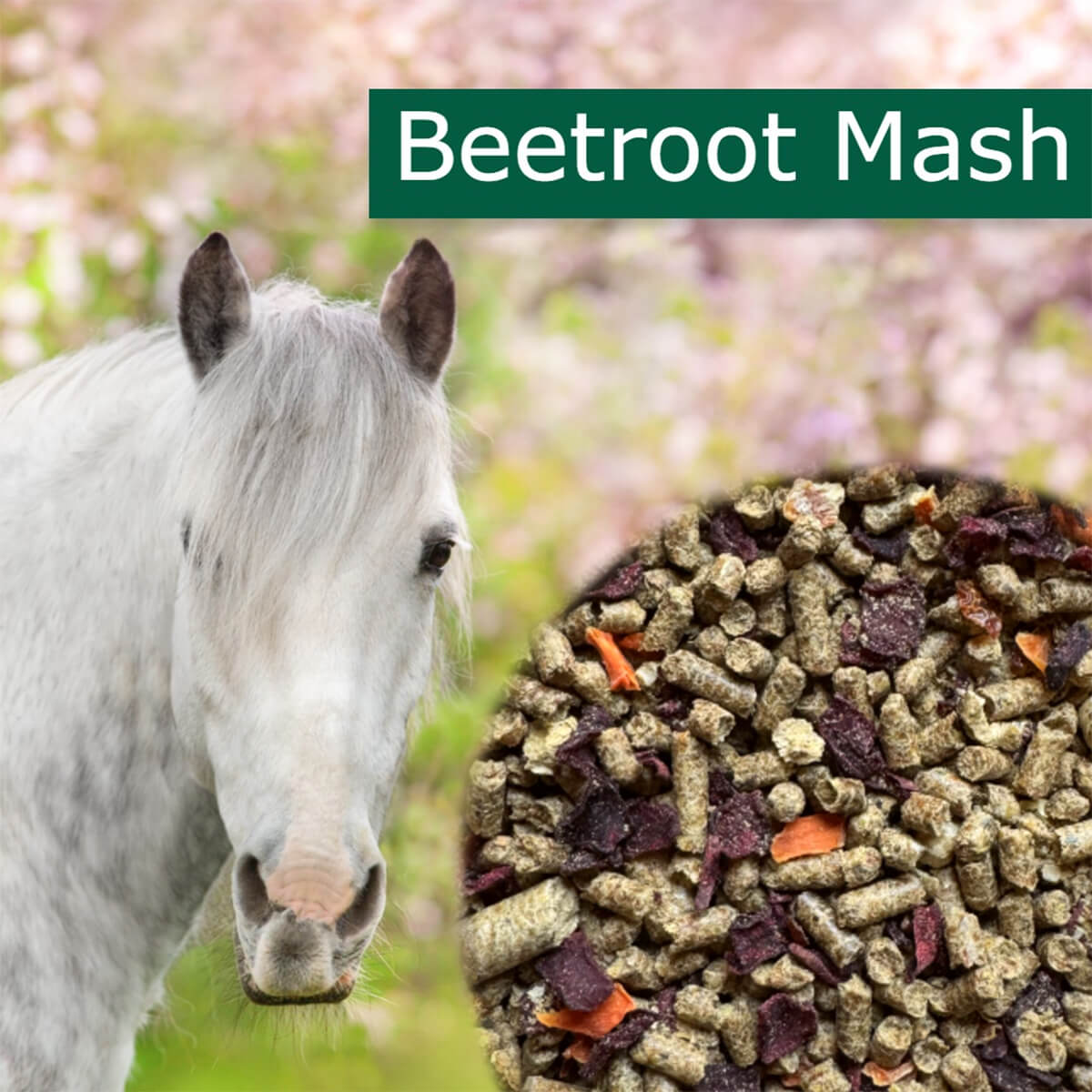 horsepro Beetroot Mash V 1223216 01