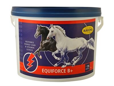 EquiForce B+