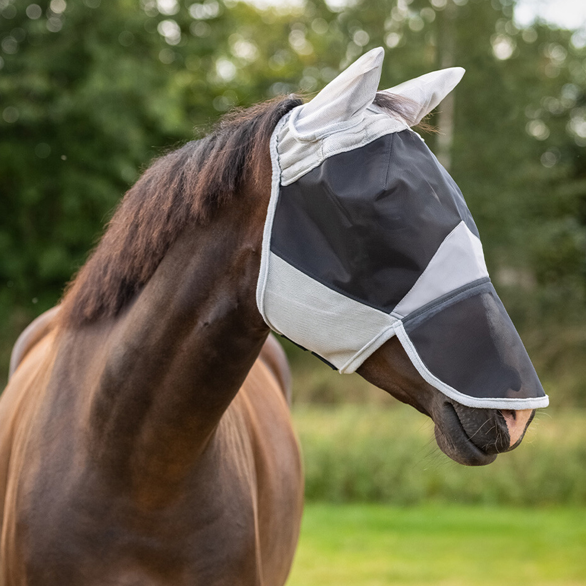 QHP Fluemaske Solaire graa 01