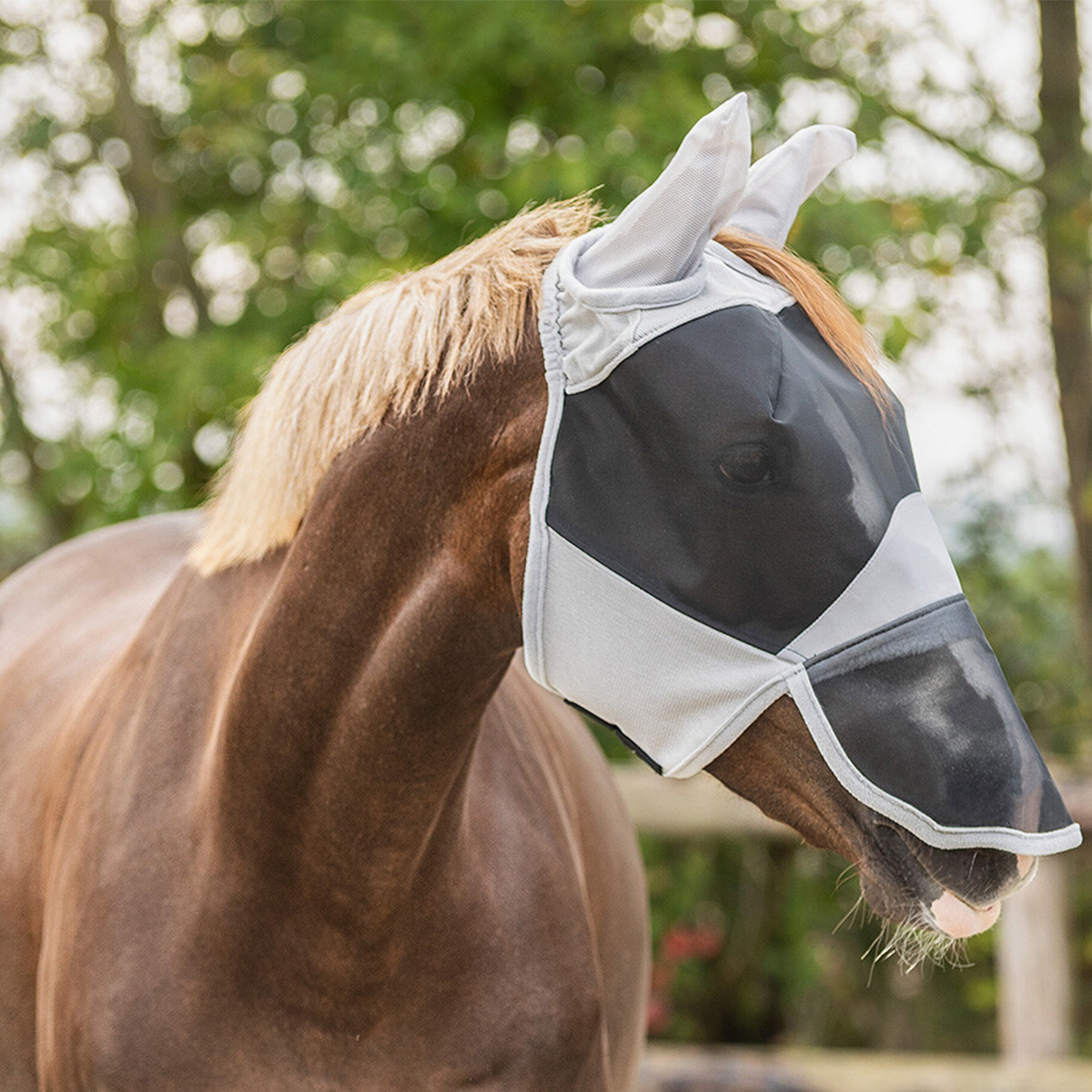 QHP Fluemaske Solaire graa 01