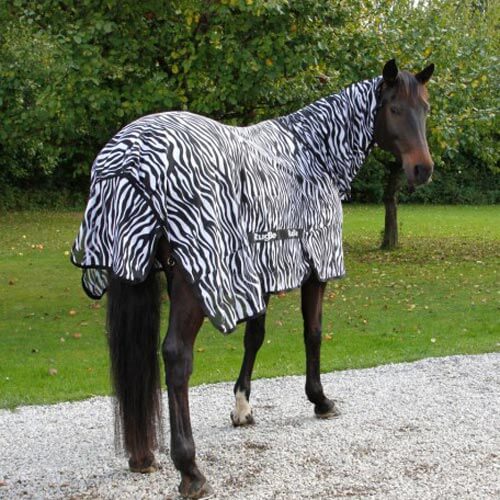 RugBe inesktdaekken zebra 01