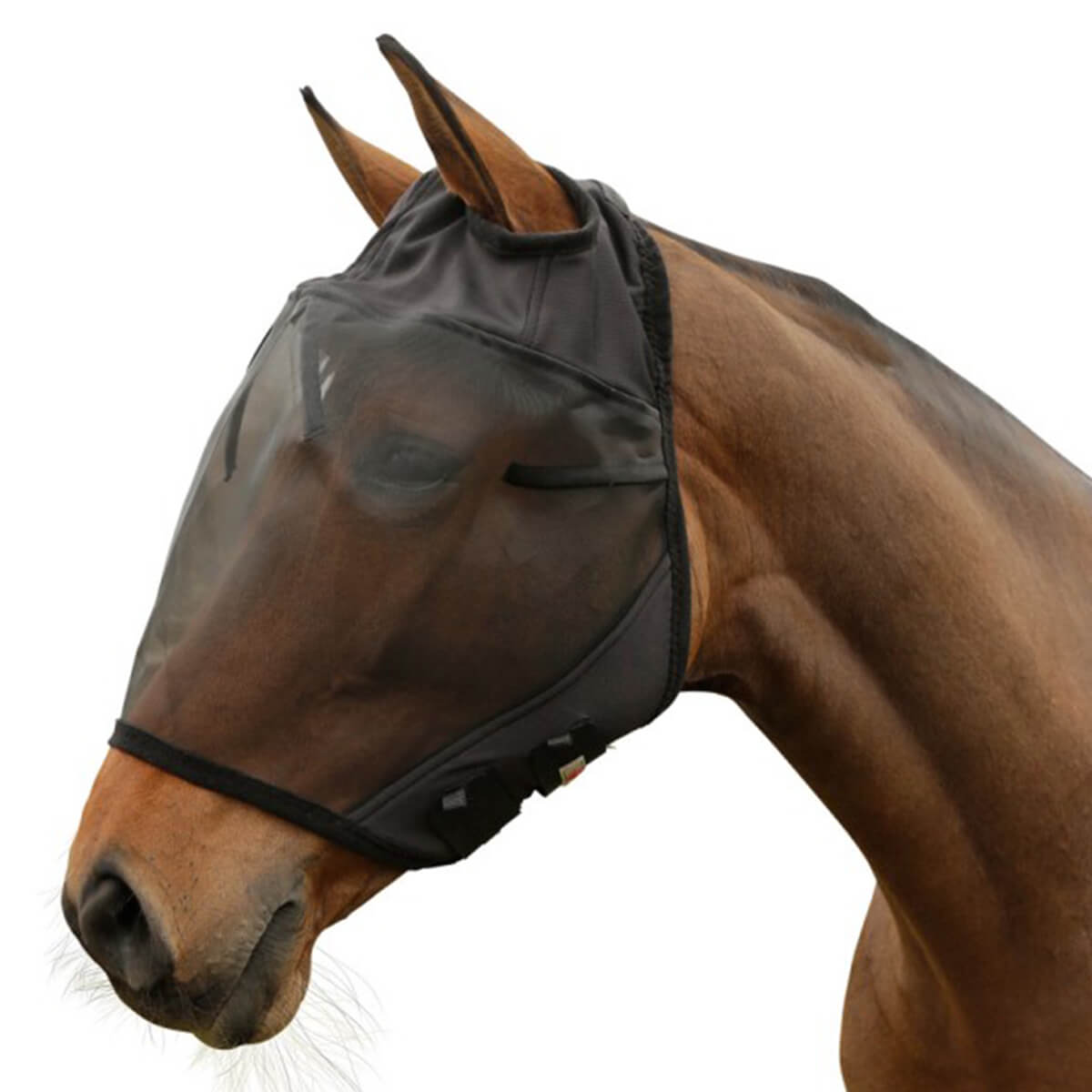 Covalliero fluemaske 01