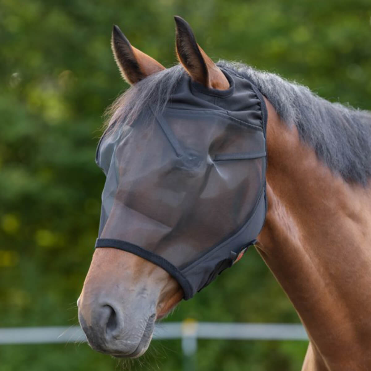 Covalliero fluemaske 01
