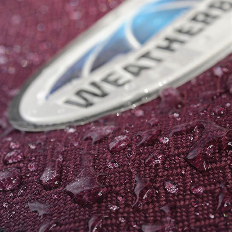 01 V 152330259 01 Weatherbeeta Plus Dynamic 100g