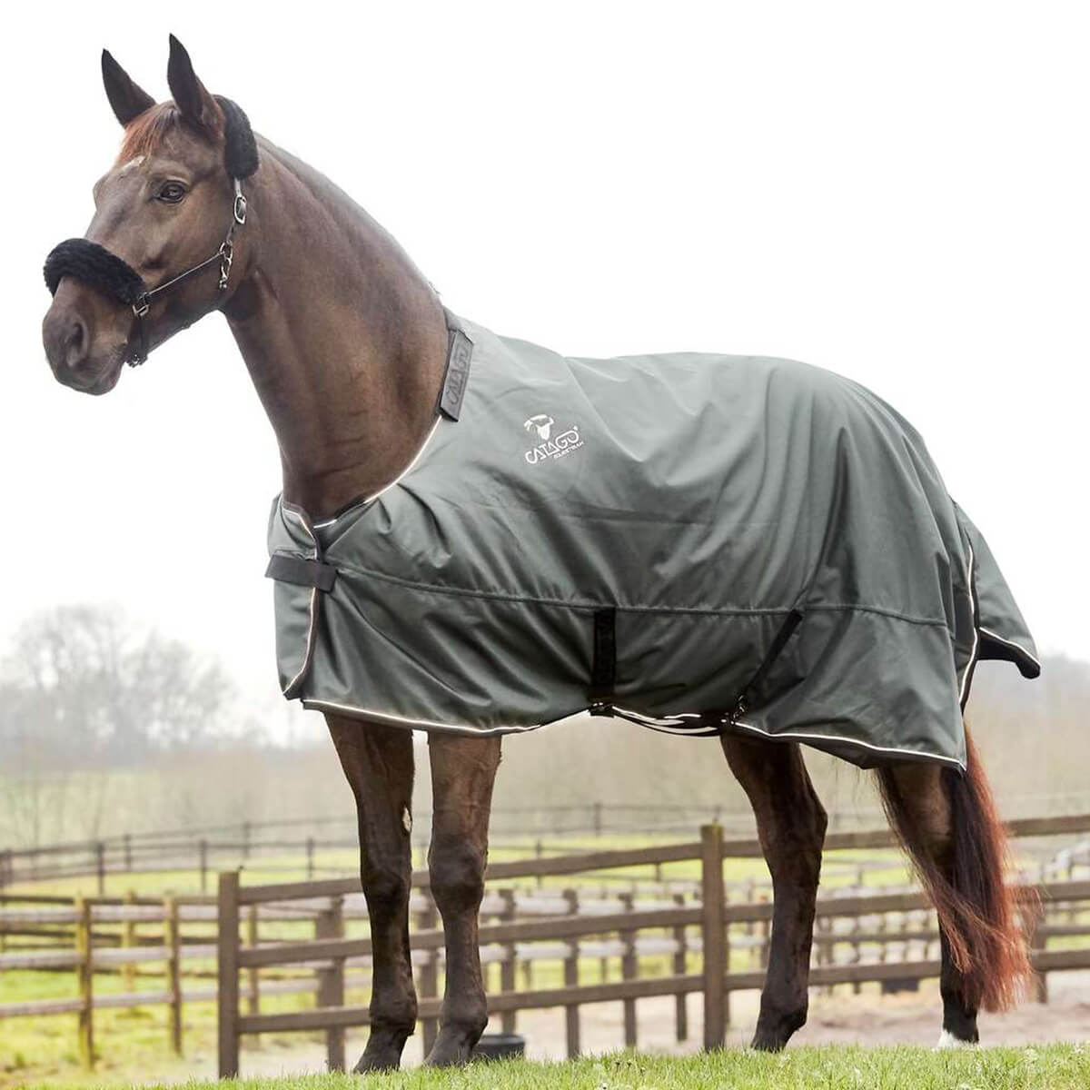 CATAGO FIR-Tech turnout dækken 150g | Urban Chic