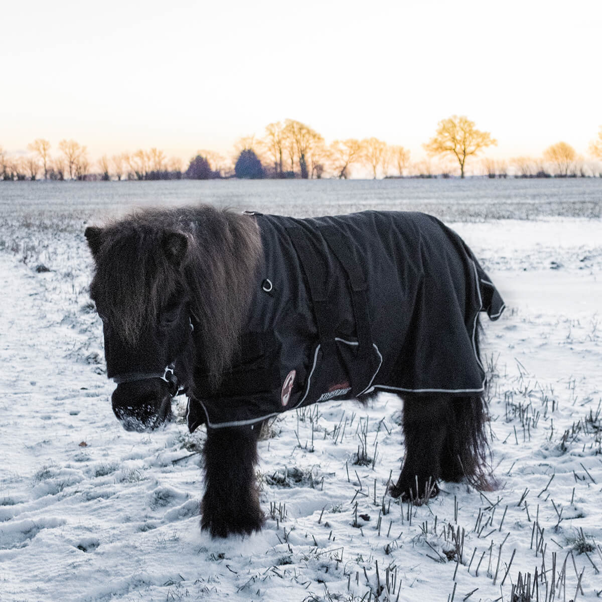 Kinnerup Mini dækken m. maveklap | Sort