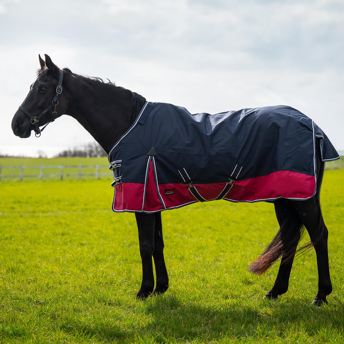 Kinnerup Classic regndækken 0G | Navy og pink m. hvidt kantbånd