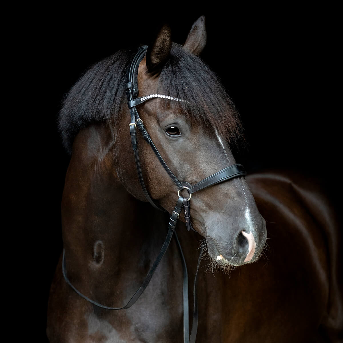 V 152360465 01 catago gentle bridle nakkerem sort