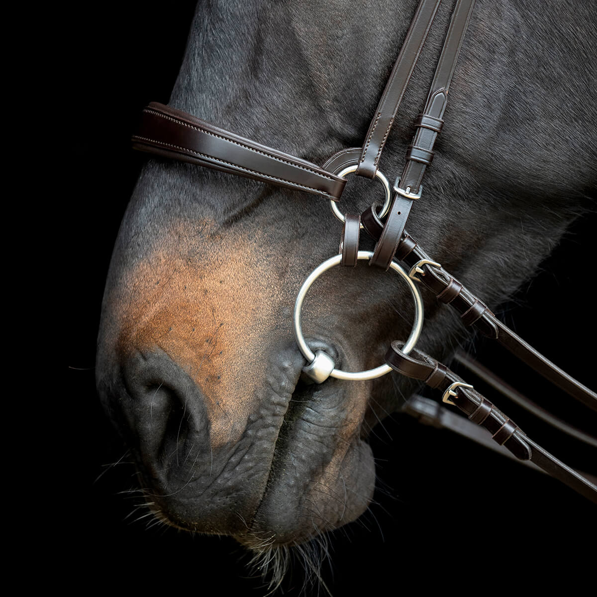 V 152360466 01 catago gentle bridle næsebånd brun